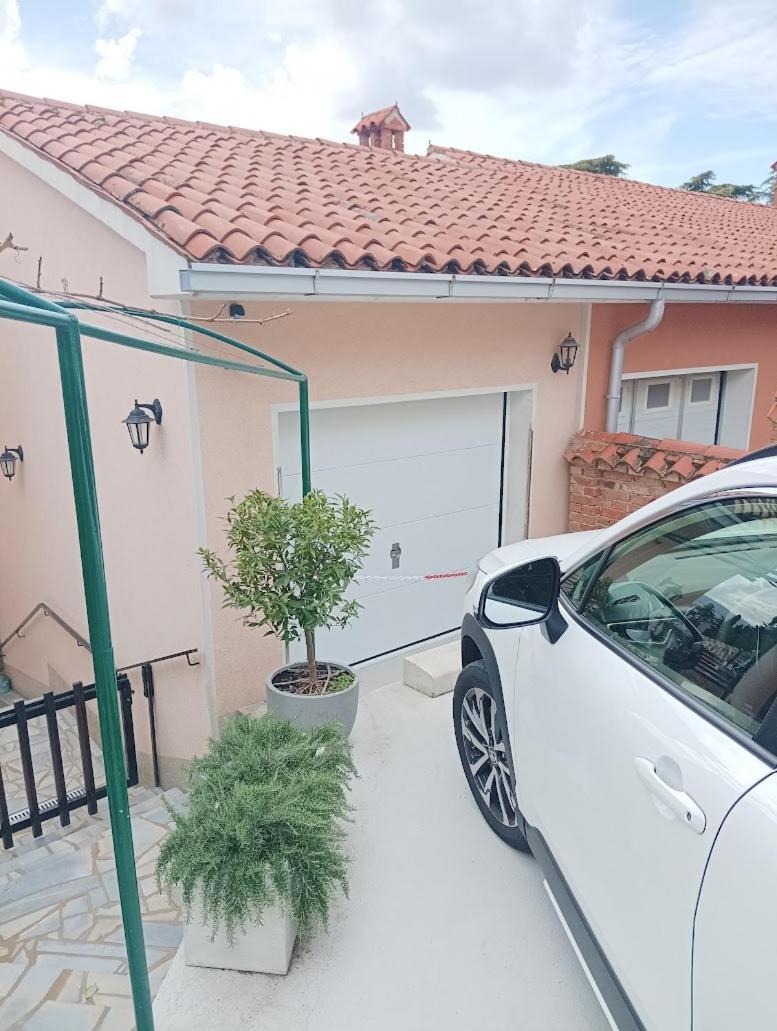Green Park And Sunny Terrace Apartments أنكاران المظهر الخارجي الصورة